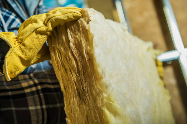 Best Insulation Installation Services in Germantown, MD